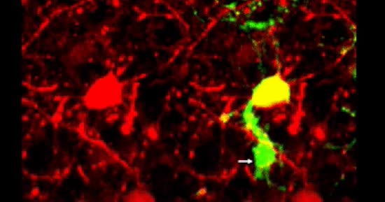 ����: ru.tsn.ua