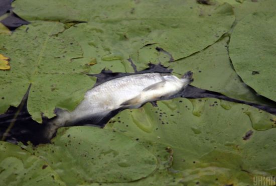  ���� ���� ������ ��� ��� �������� ������������� 