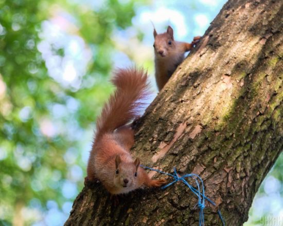  ���� ����� ������� ����� ������� ������� 