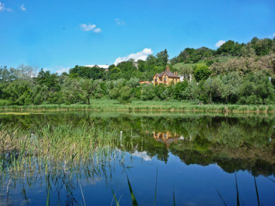  ���������� ������ ������ ������ ����� ������������ 