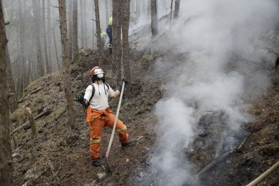  ������ ��������� ������ ������ ������������ ������� 