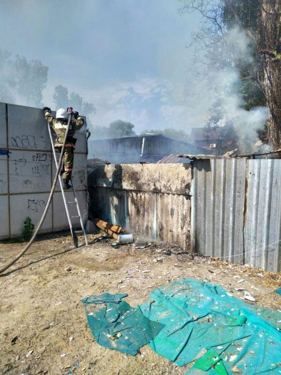  �������� ������� ������ ���� ������ ���������� ������� 