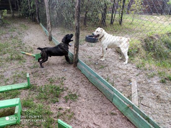  ����� �������� ������ ������ �������� 