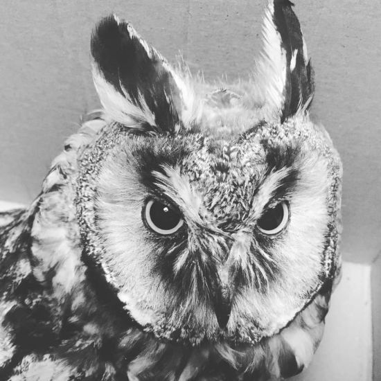  ����� ����� ����� ������� ������ 