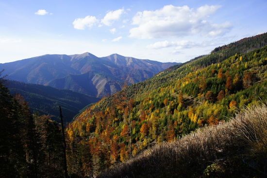  �������� �������� �������� �������� ��������� �������� ����������� 