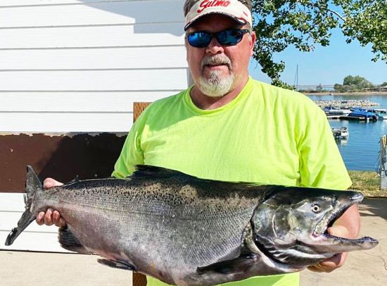  ������ ����� ���� ����� ������ ����� 