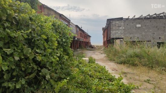  ��� ������������ ����� ������������� ������� ���� �������� 