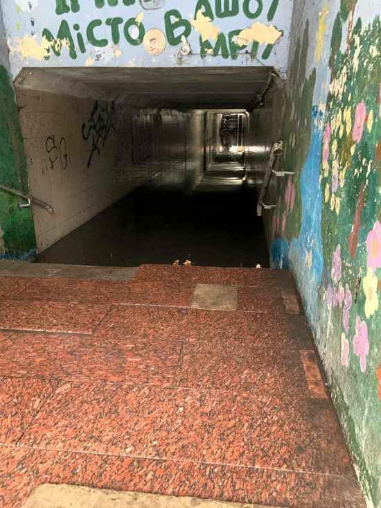  �������� ����� �������� ��������� ���� ����� 