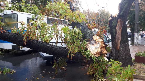  ����������� �������� ������� ������ ������� ���������� 