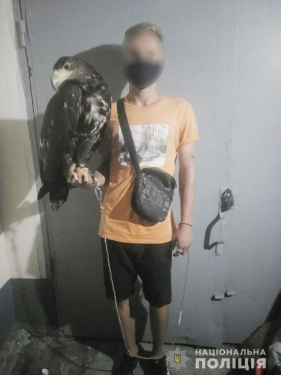  ������� ��������� ����������� ������������ ������� 