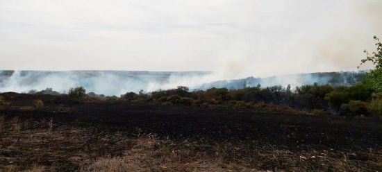  ����� ���������� �������� ������ �������� ��������� ������� 