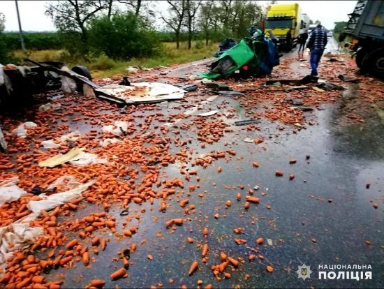  man ������������ ������� ��������� ������� mercedes-benz ��� 