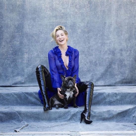  ����� ������ ����� 