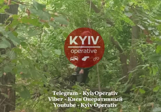  ����� ����� ���������� ������� 