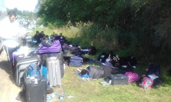  ������ ���� �������� ������������� 