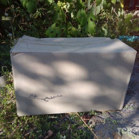  ����� ������� ���� �������� ���� ���� ��� ������ 