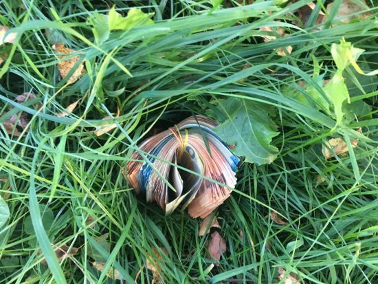  ������� ������������ ���� �������� ����� ������� 