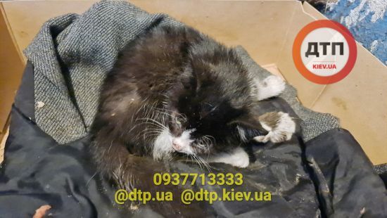 ����: ru.tsn.ua