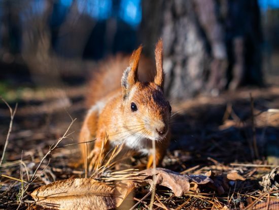 ����: ru.tsn.ua