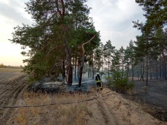 ����: ru.tsn.ua