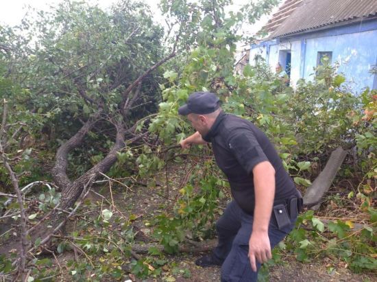  ������ �������� ���������� ������� ��������� ���� ����� 