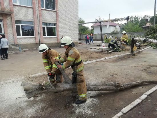  ������ ������ ����� ���������� ������� 