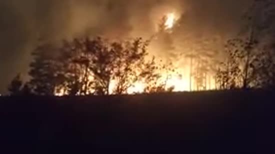  ��������� ������ ���� ����� ������� ������� 