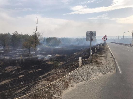  �������� �������� ����� ����� ���������� 