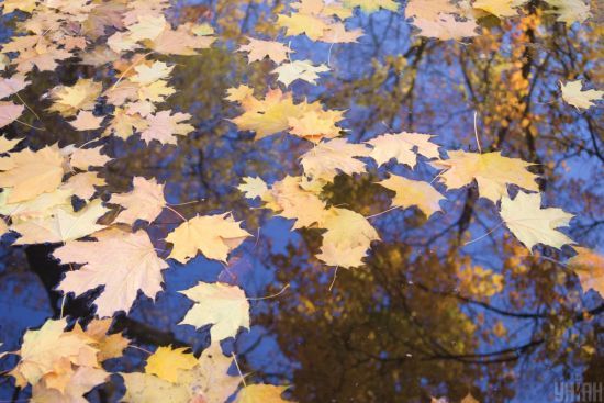  ���� ����������� �������� ������� ����� 7-12 ��� ������� 