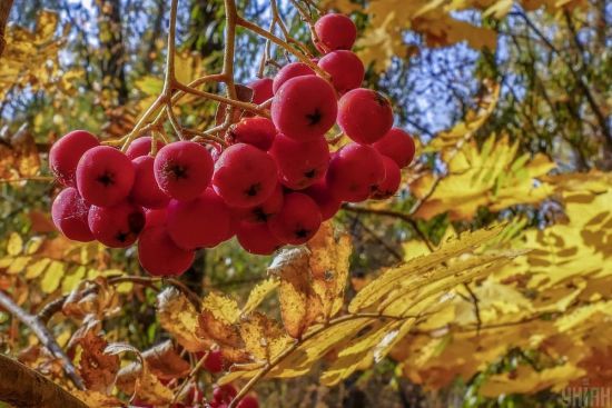  ����� ����� ���� ������� �������� ��������� �������� 7-12 