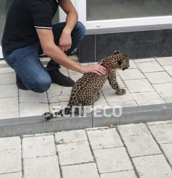  ������ ������ �����-���������� ������� ����� ������ ������� ����������� 