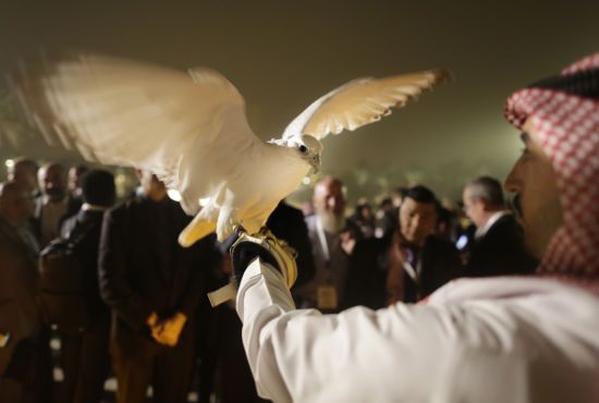  000 ���� ���������� ������ �������� 