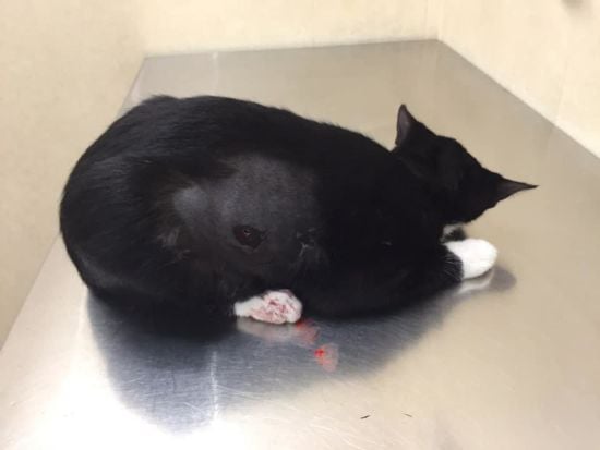  �������� ������ �������� ���� 