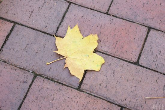  ���� ����� ����������� ������� ����� �������� ����� 5-10 