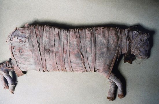  ������ ���������� ���������� ����� ������ ������������� ����������� 