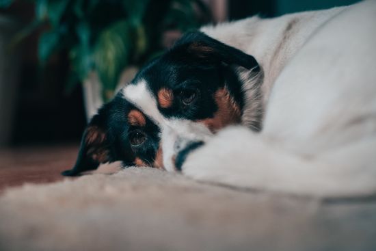  ����� ��������� ������� ��������� ������� 