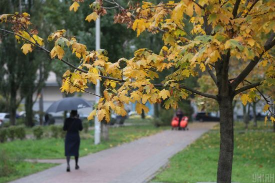  ����� ����������� ����� ������� ������� ���� ������� 