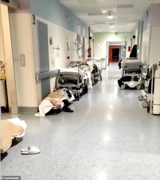  ������ ������ �������� ������ ����� ����� 