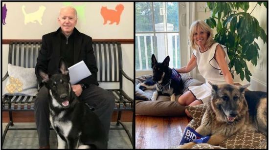  ����� ��� ����� ������ ������� 