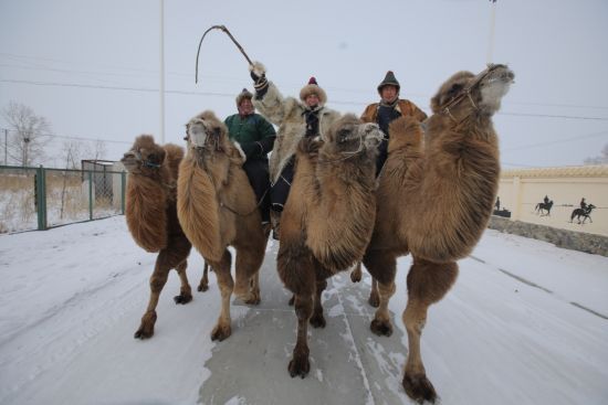  ������ ������� ��������� ������� ���� 