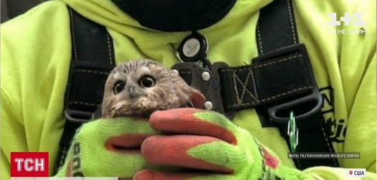  ����������� ���� ���-����� ���������� ��������� ����� ������� ���������������� 