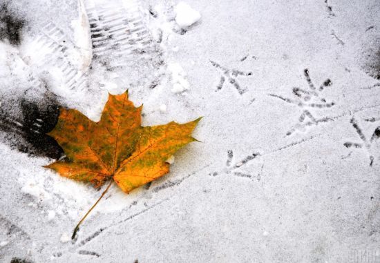  �������� ����� ����������� ������ ������������ ������� ��������� ����������� 