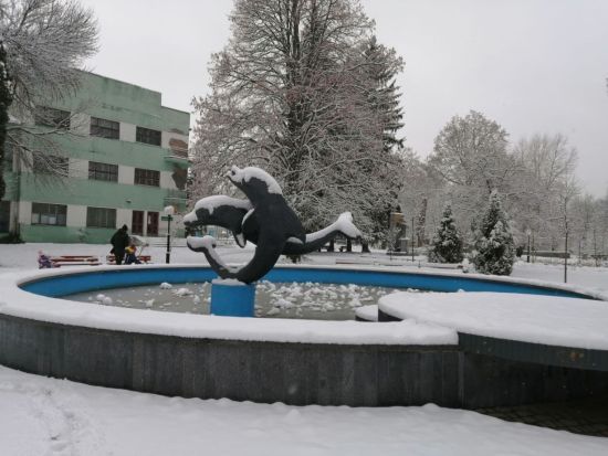  ����� �������� ����� ���� ������ ������� ����������� ������ 