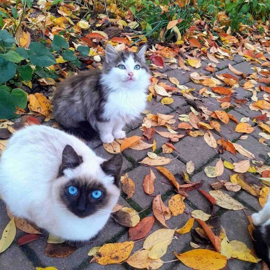  ����� ����� ������� ��� ����� 