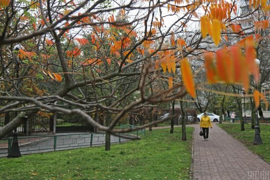  ����� ����� ������� ���� ������� 