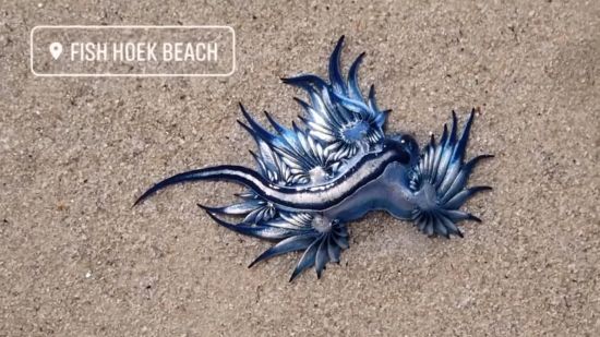  ����� �������� ������� ������ ����� ����� ������ ������� 