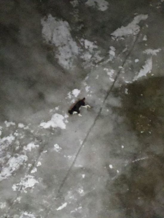  ��� ��������� ���� ����� 