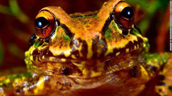  ������ ����� ���������� ��������� ������ ���� ����� �������� 