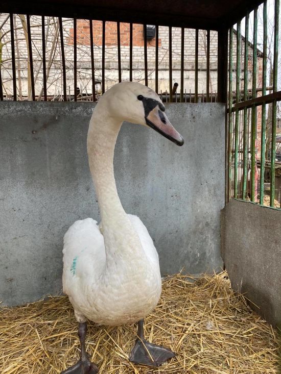  ����� ������ �������� 