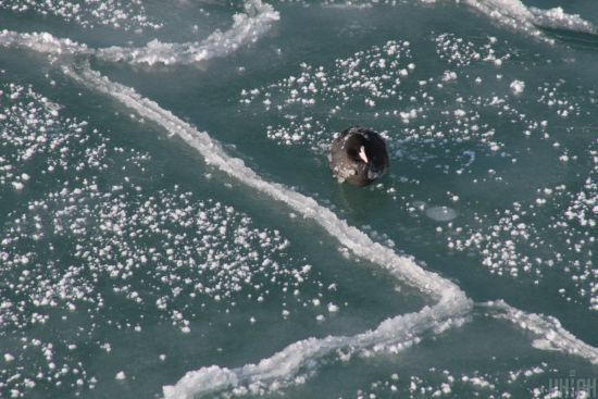  �������� ���� ����� ������ �������� 